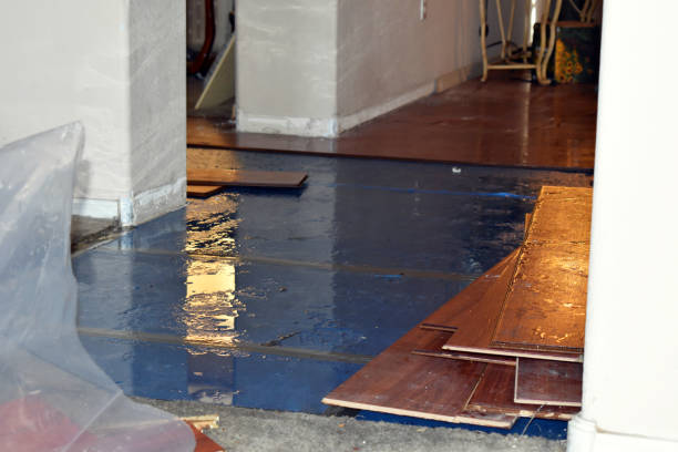 Professional Flood Cleanup technician working in Newport Beach, CA